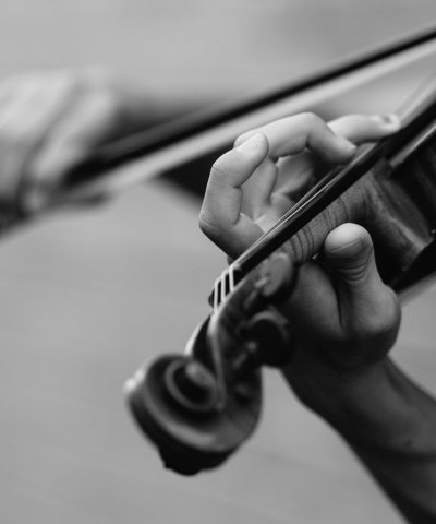 fiddler